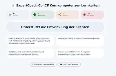 Das Gelernte festigen